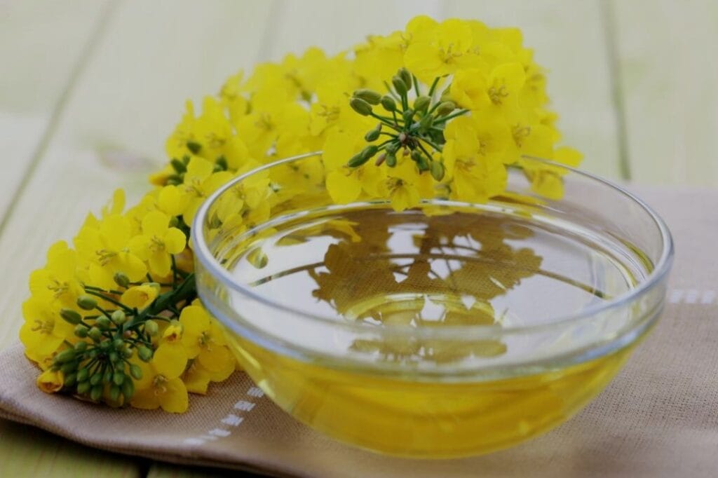 Heathiest cooking oil